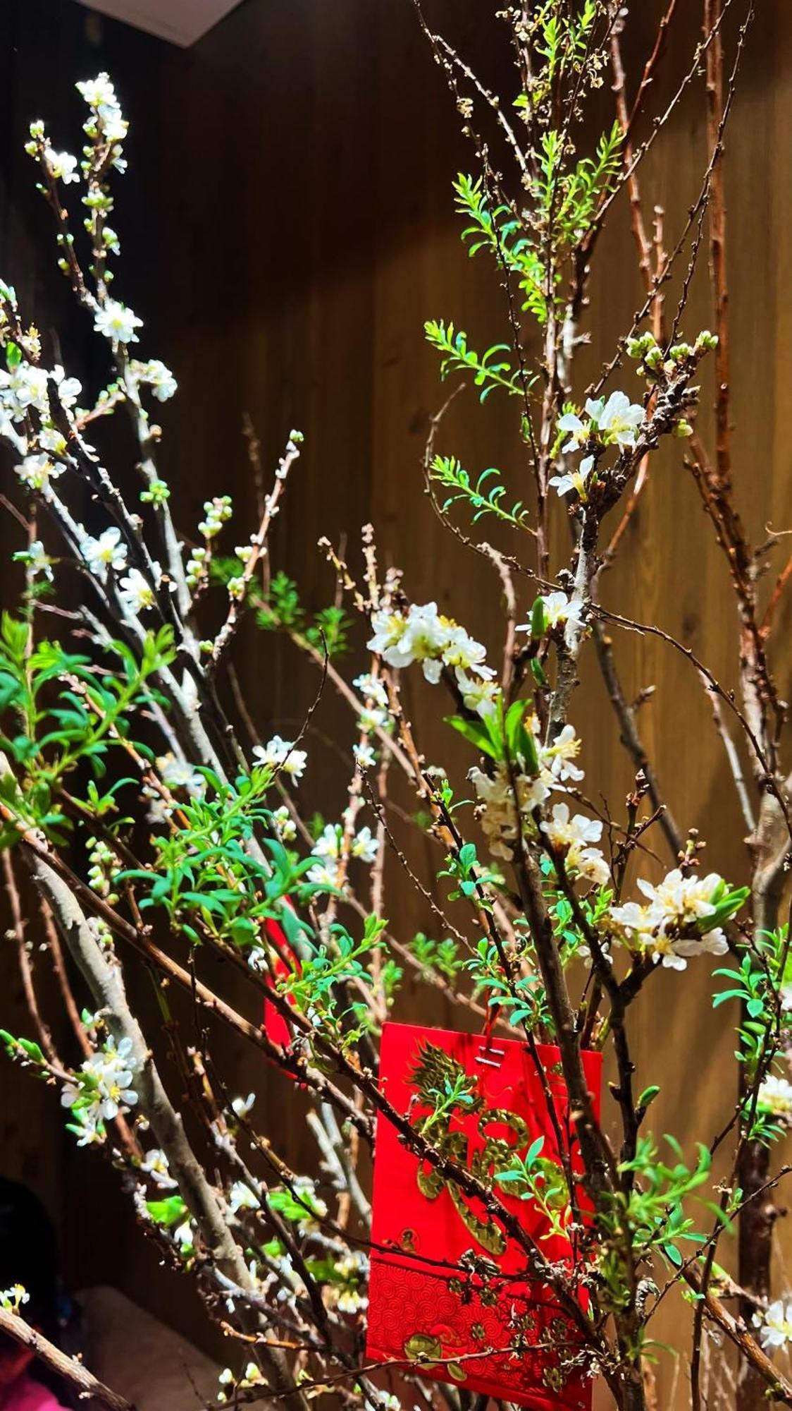 Rosa Zen Hotel Spa Hô Chi Minh-Ville Extérieur photo
